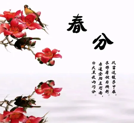 2021.03.20早安心语，春分正能量阳光语录最新图片